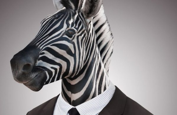 Keine Lust auf Zirkus? Komm zu dem Immobilienverwalter in München