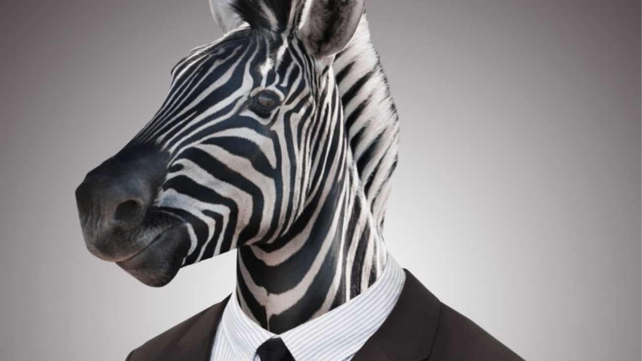 Keine Lust auf Zirkus? Komm zu dem Immobilienverwalter in München